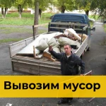 Вывоз мусора в Краснодаре недорого