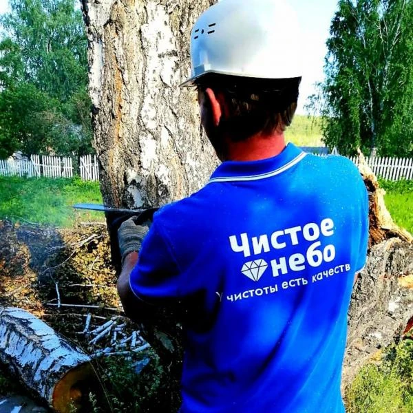 Фото Спил, снос, обрезка, деревьев любой сложности. Новосибирск