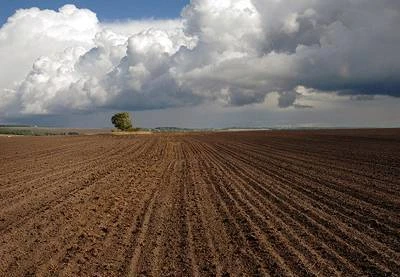 Фото Сдам в аренду земли в Астраханской области.