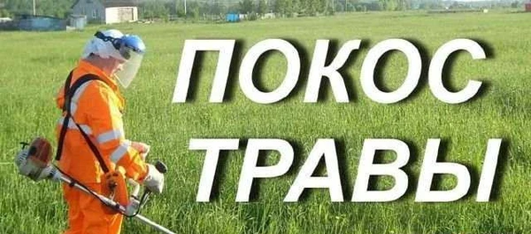 Фото Покос травы