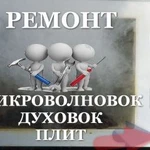 Фото №2 Ремонт Микроволновок и мелкой бытовой техники