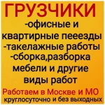Грузчики Жуковский, грузоперевозки, вывоз мусора, переезд,