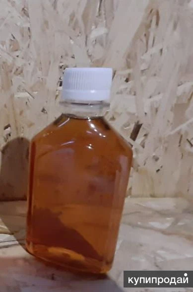 Фото Восковая моль