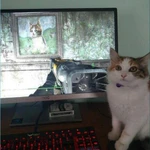 ПоМОЩь НетбУКУ,НОУтбуКУ.чИСТка