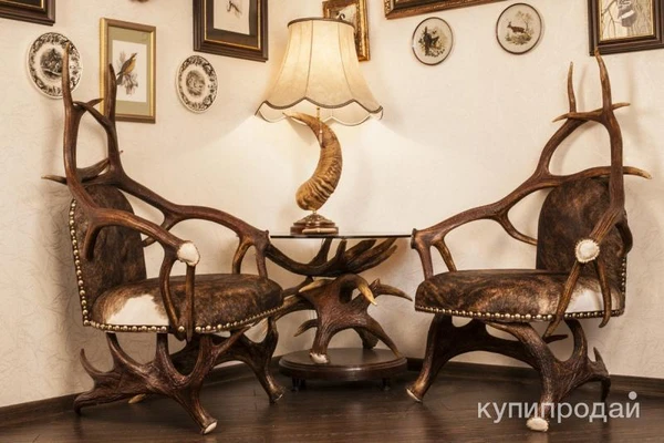 Фото Чучела диких животных