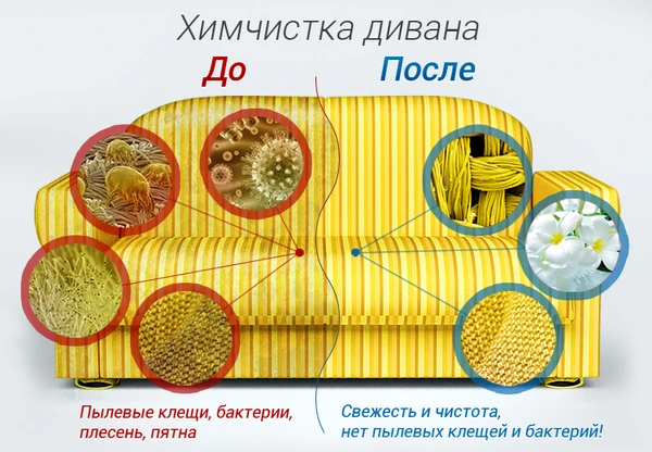 Фото Химчистка мебели и ковров