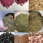 фото Продам, ягоду лимонника, лоза лимонника, радиола розовая, саган-дойля