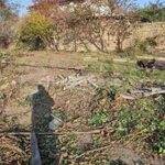 Фото №3 Лот  74868 Продается участок 7,21 сотки СНТ Строитель Участок угловой, с