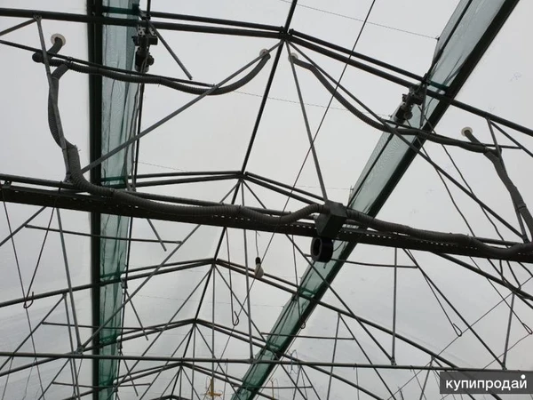 Фото Тепличный комплекс 9 000 кв.м