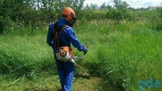 Фото Пакос травы, спил деревьев Расчистка участка вывоз