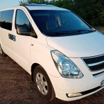  Поездки по городу и стране  на  минивэне Hyundai Starex