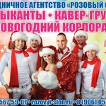 Фото №8 Дед Мороз Солнечногорск.