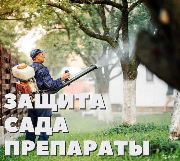 Фото обработка сада