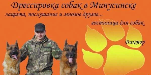 Фото Гостиница для собак