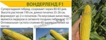 Фото №2 Семена сахарной кукурузы Вондерленд F1 Agri Saaten GmbH