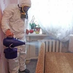 Фото №6 Дезинфекция от насекомых и грызунов