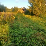 Фото №4 Участок Великоустюгский район д.Опалипсово