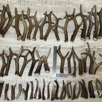 Фото №3 Лакомства для собак