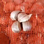 Фото №3 Чеснок Любаша