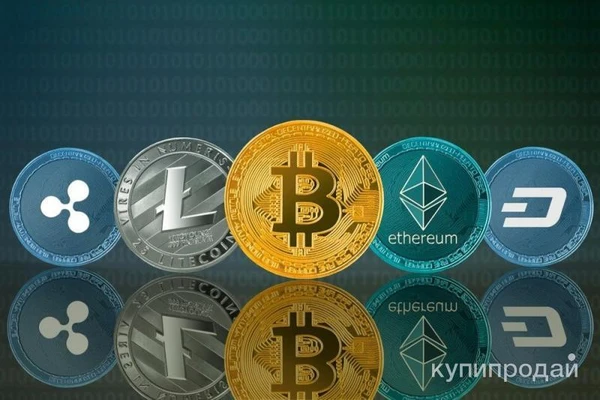 Фото Домен crypto.in.net
