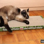 Фото №3 Новые когтеточки-лежанки для кошек в Дагестане.