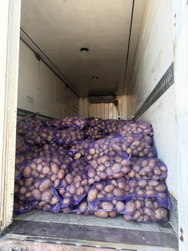 Фото Картофель оптом