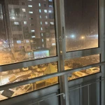 Фото №2 Без детей и питомцев!