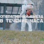 Фото №3 ОБРАБОТКА ДАЧНЫХ УЧАСТКОВ ОТ КЛЕЩЕЙ-УДЕЛЬНАЯ