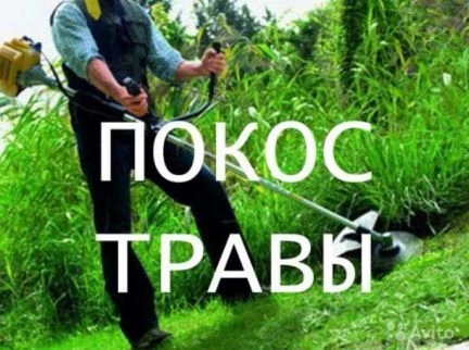 Фото Покос травы в Азове и Азовском районе