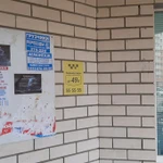 Фото №2 Расклейка и печать объявлений, распространение рекламы