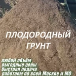 фото Плодородный грунт