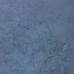 Фото №2 Покупаем фторопластовые отходы