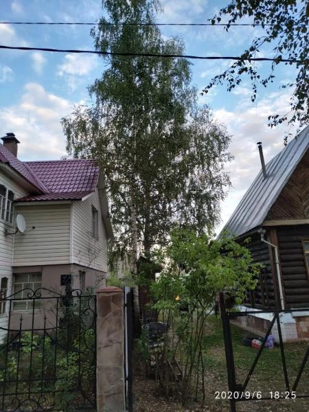 Фото Спил и обрезка деревьев в Серпуховском районе