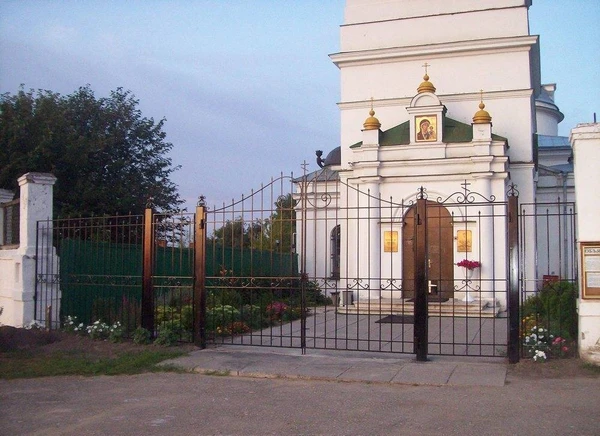 Фото Заборы любой сложности. Ковка.