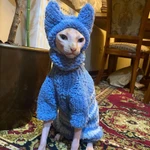Фото №7 Шапочка/свитер/комбинезон для котов и собак