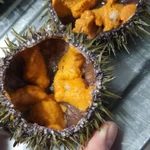 фото Морепродукты