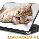 Установка windows, настройка. Выезд на дом