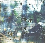 Фото ремонт бензо- электро инструмента