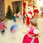 Фото №3 Крио-новый год 2017