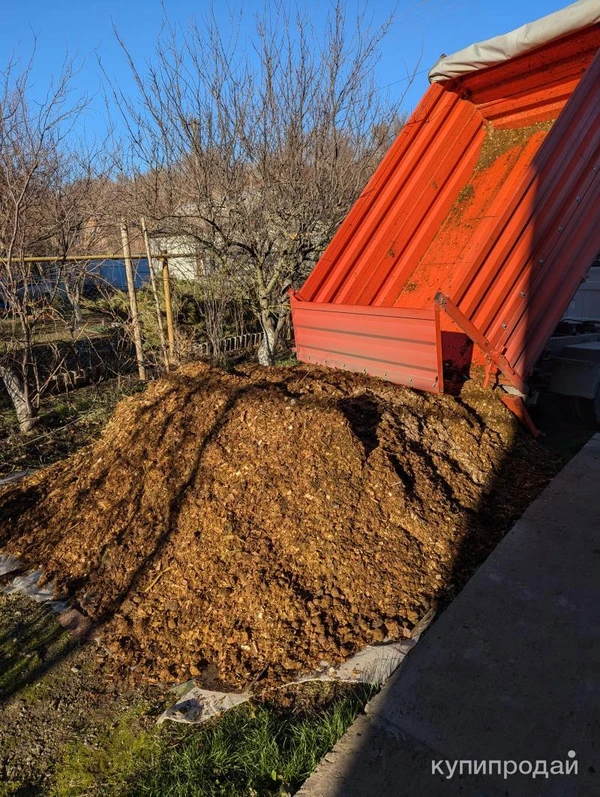 Фото Конский навоз