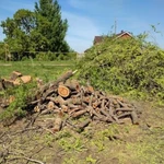 Фото №4 Расчистка участков любой сложности