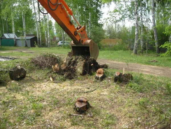 Фото Благоустройство, уборка территории. Разнорабочие