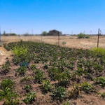 Фото №5 Новый дом 96м2 недалеко от моря