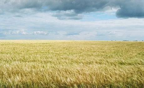 Фото Земли сельскохозяйственного назначения