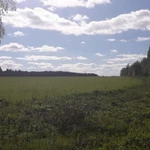 Фото №6 Продажа Участка с/х назначения, Нижегородская область, Сокольский р-н