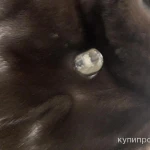 Фото №4 Норковый полушубок