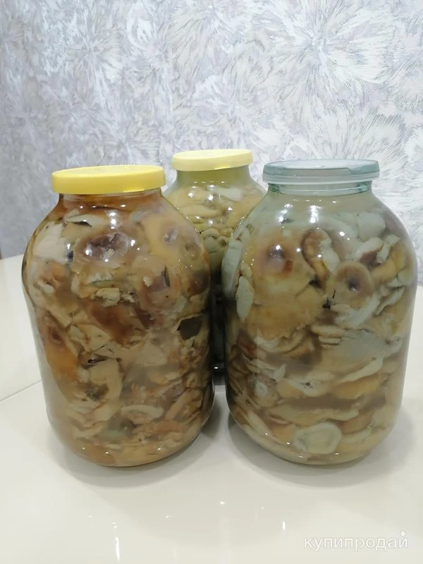 Фото Грибы солёные