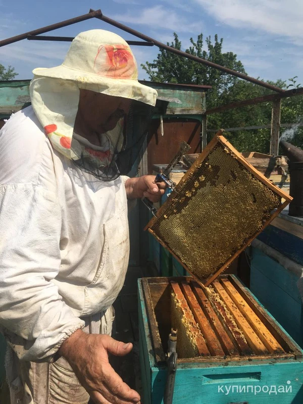 Фото продам мед