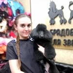 Фото №3 Стрижка Пуделя 