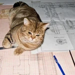 Autocad,Solidworks,